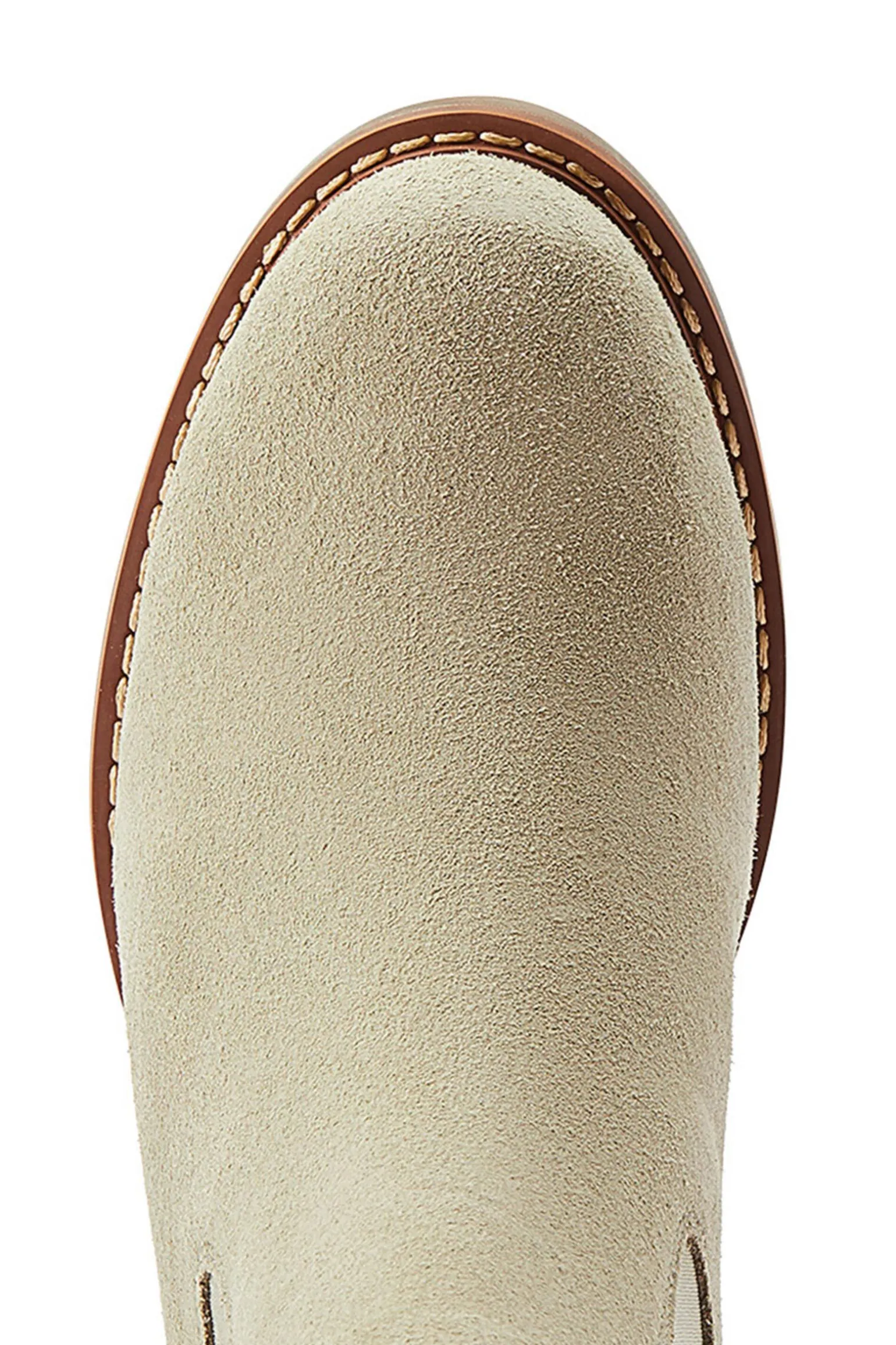 Ariat Wexford H2O hverdagslige sko til dame