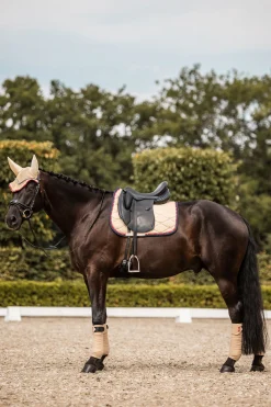 B Vertigo Amory dressursjabrak med brodert monogram