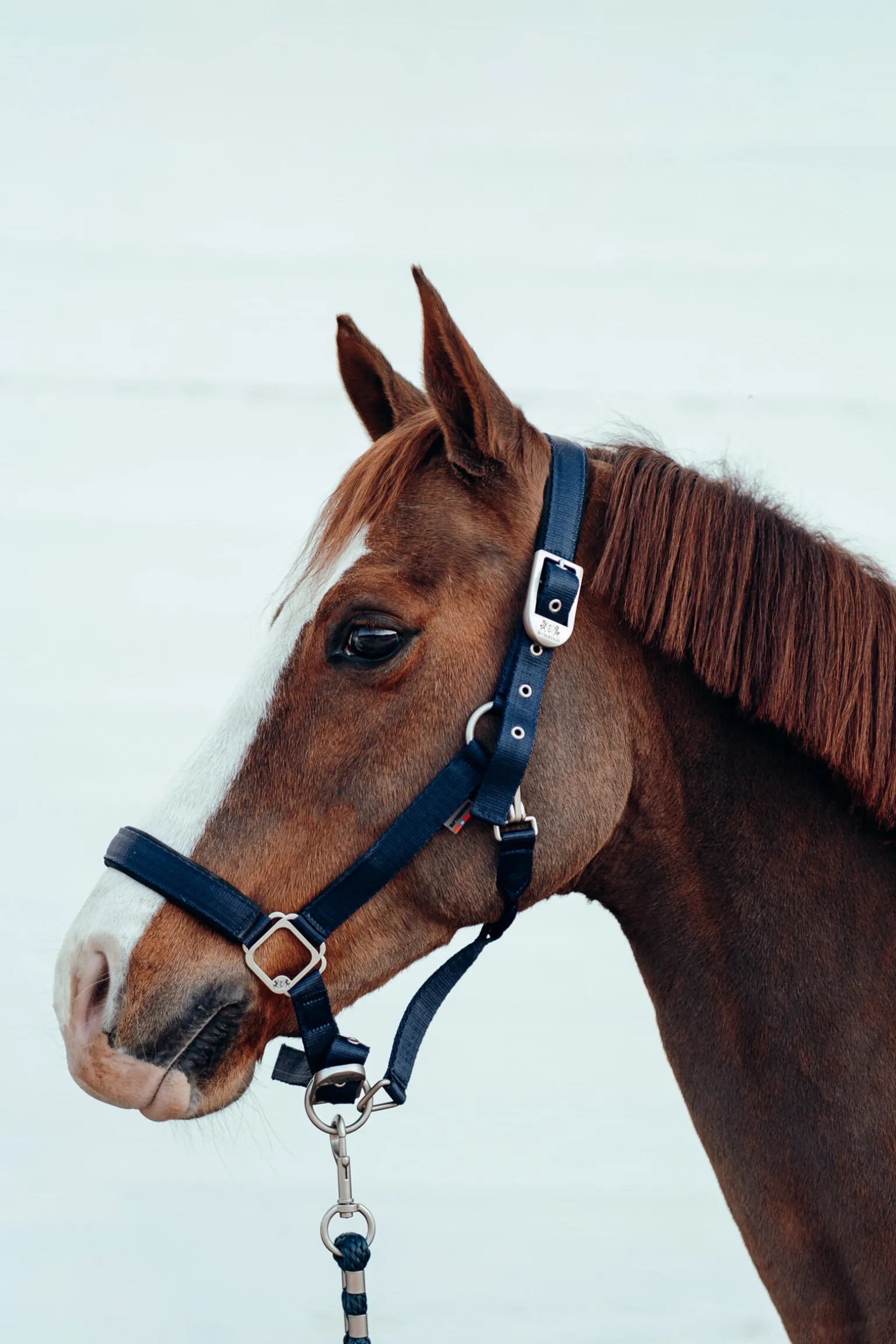 B Vertigo Hardwick grime