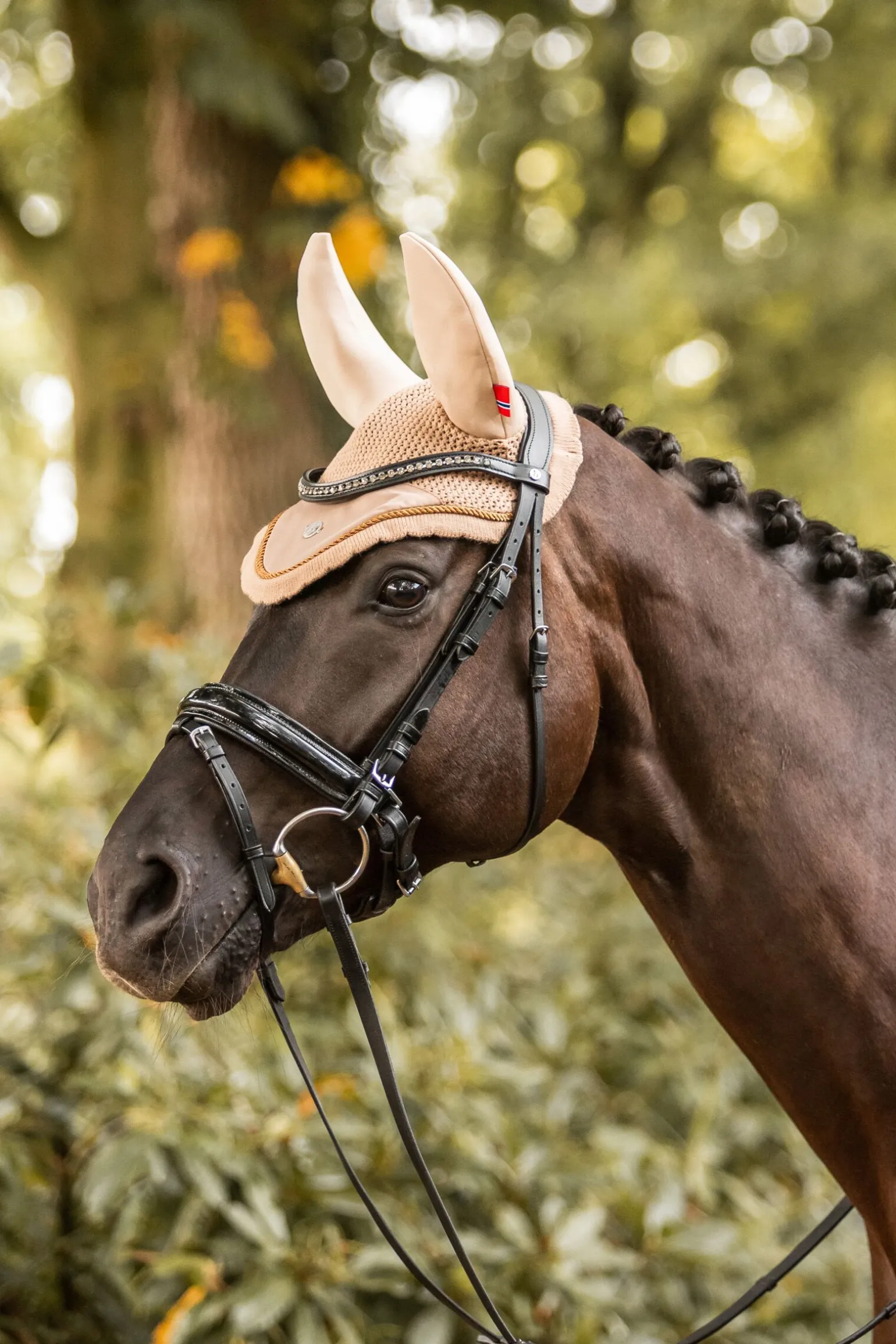 B Vertigo Quinn lydløs ørenett