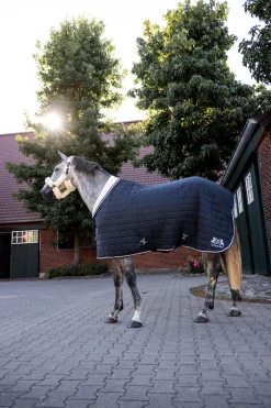 B Vertigo Theo stalldekken, 150 gram