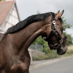 B Vertigo Tremblant grime med saueskinn