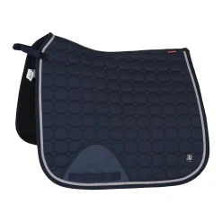 B Vertigo Zurich dressursjabrak