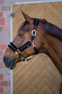 Back on Track Hace kolleksjonen, grime