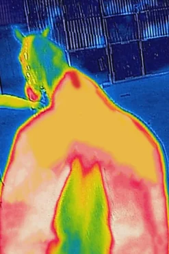 Bucas Therapy cooler-dekken, 0 g