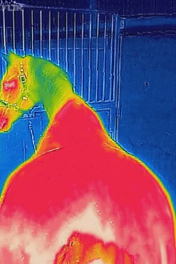 Bucas Therapy cooler-dekken, 0 g