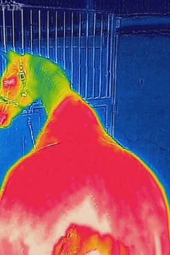 Bucas Therapy cooler-dekken for ponnier, 0 g