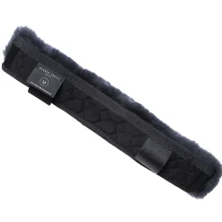 Christ Turnier nesebeskytter