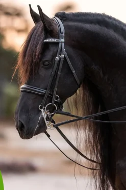 Cowboy Magic Detangler & Shine邃