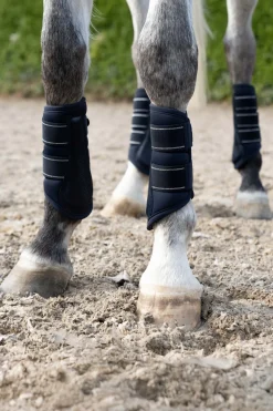 Eskadron senebelegg med fuskebelegg