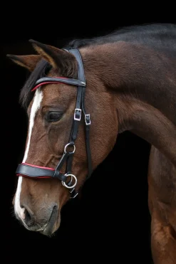 F.R.A. Freedom Riding Articles Aruba bittløst hodelag med tøyler (system 3)