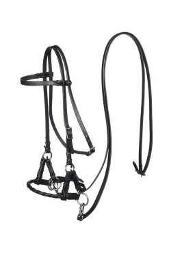 F.R.A. Freedom Riding Articles Pariba sidepull (system 3) vevd nesereim med tøyler