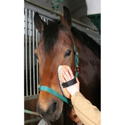 Haas Brush&Co børste, trerygg, stor