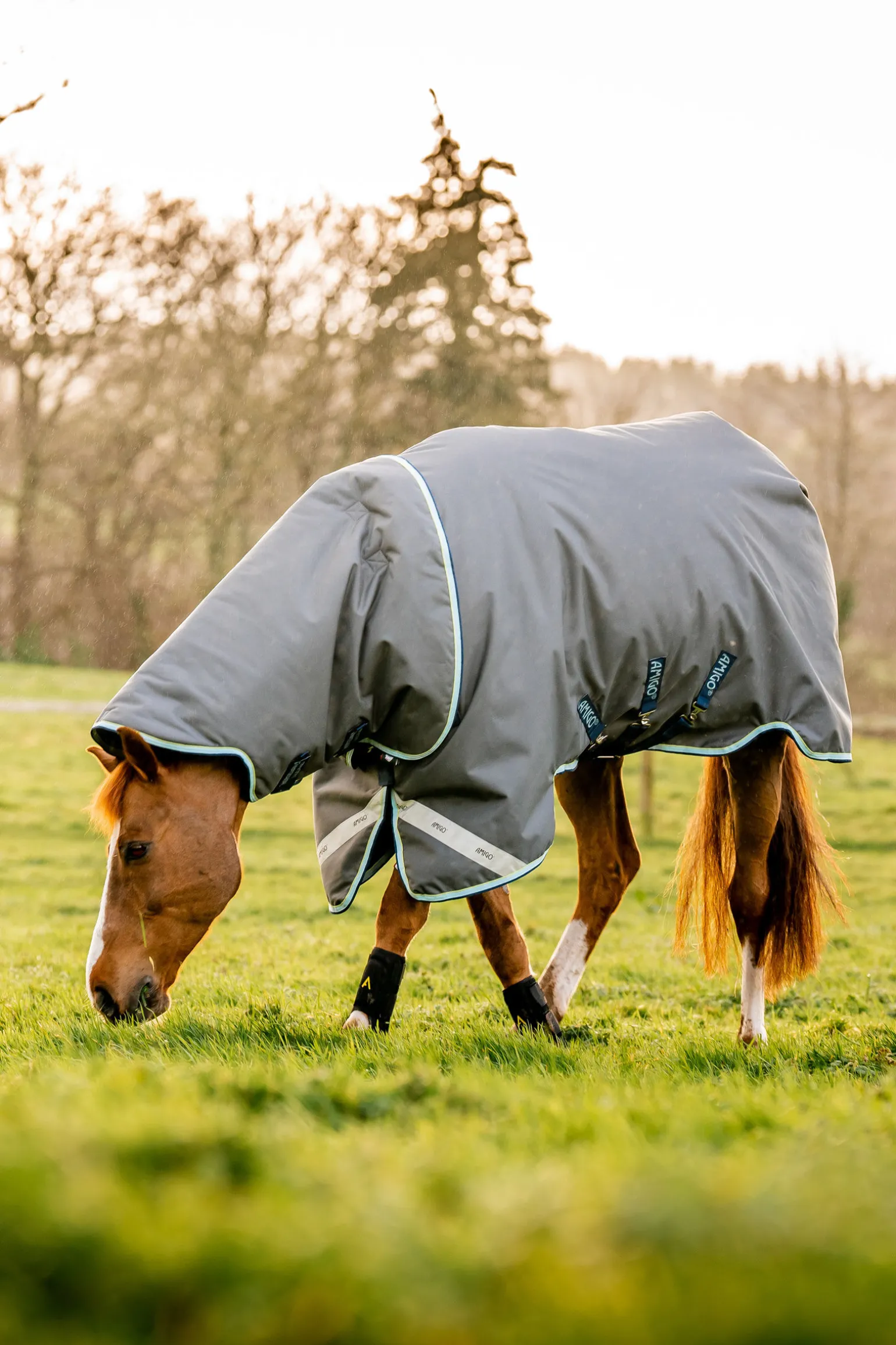 Horseware Amigo Bravo 12 Plus utedekken med avtakbar hals, 400g