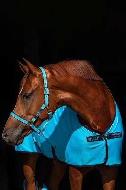 Horseware Amigo grime