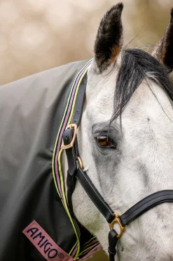 Horseware Amigo Hero Ripstop Plus utedekken med avtakbar hals, 0g