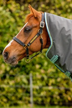 Horseware Amigo Hero Ripstop Plus utedekken med avtakbar hals, 200g