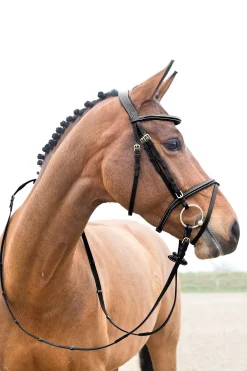 Horze Constance polstret hodelag med flash-nesereim