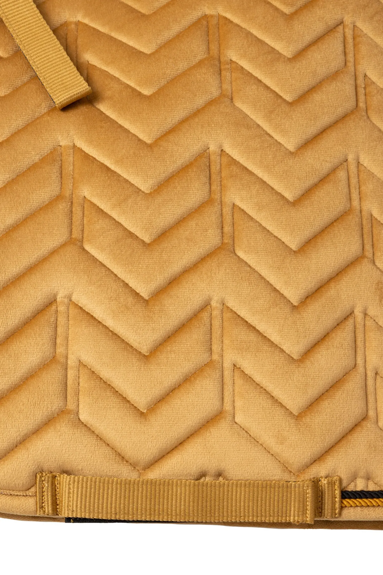 Horze Delémont dressyrpad