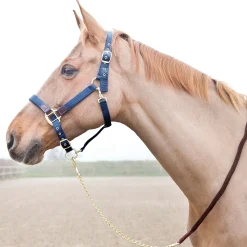 Horze Holbrook kjettingleietau