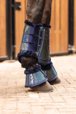 Horze Ice Water Hologram stryksokker