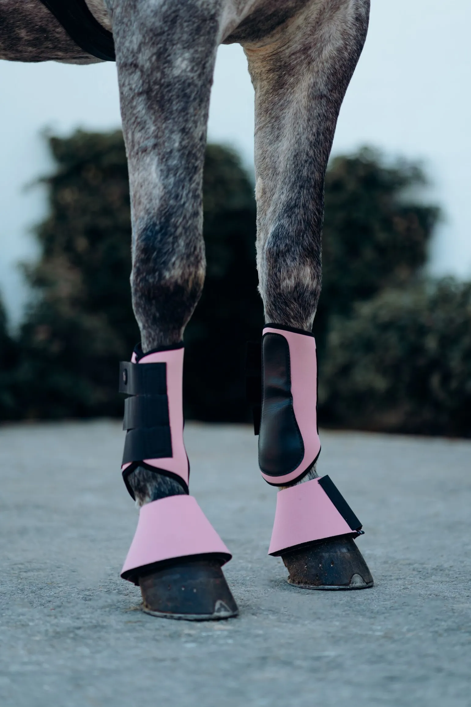 Horze Munich stryksokker