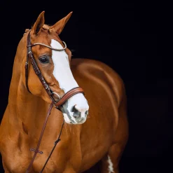 Horze Positano Hannover anatomisk hodelag