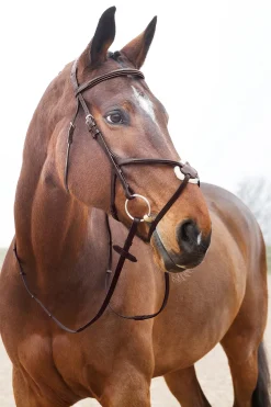 Horze Prescott hodelag med kryssnesereim