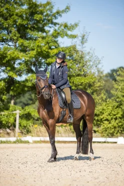 Horze Sandnes dressursjabrak