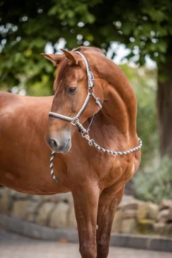 Horze Sandnes grime og leietau, sett