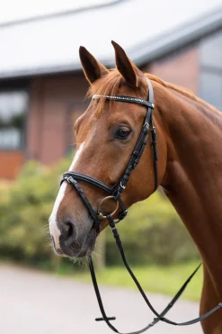 Horze Weston hodelag