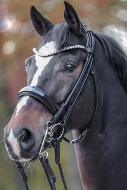 Kavalkade Fleur Double Bridle