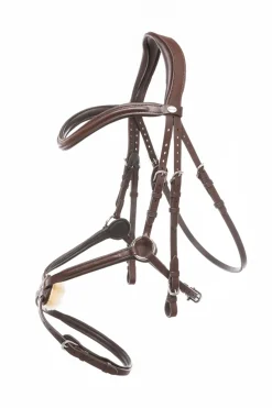 Kavalkade hodelag Everado med meksikansk nesereim