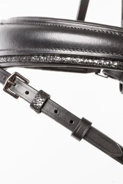 Kavalkade Victoria Hodelag