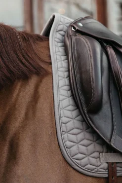 Kentucky Horsewear Basic dressursjabrak