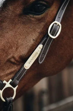 Kentucky Horsewear lærgrime for stell
