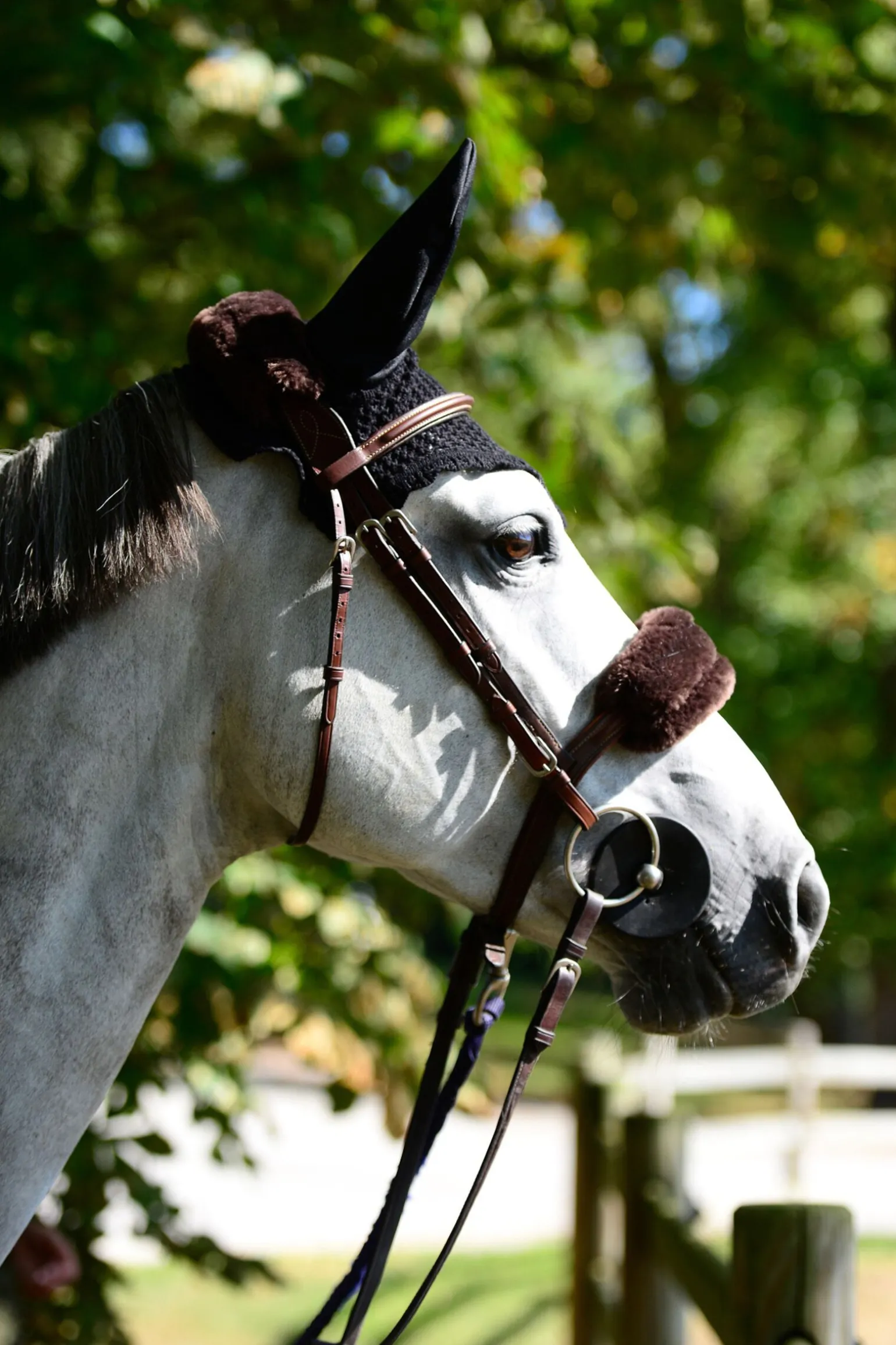 Kentucky Horsewear saueskinnsbeskyttelse for nesereim