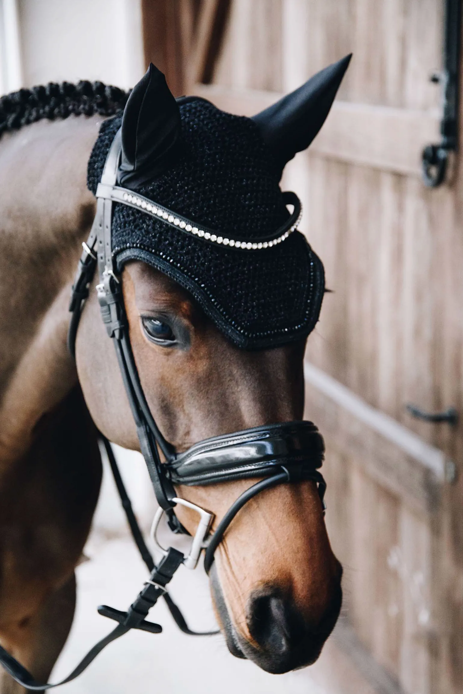 Kentucky Horsewear Wellington ørehette med glitter