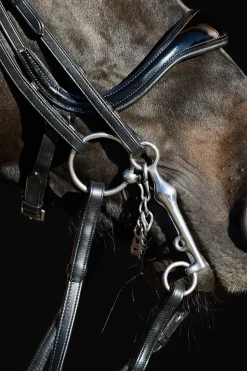 Kieffer Ultrasoft® Amy kandarhodelag