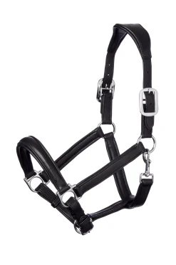 LeMieux Anatomisk lær grime