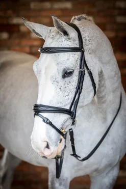 LeMieux Competition Flash hodelag