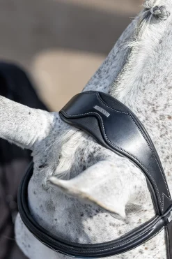 LeMieux Competition Flash hodelag