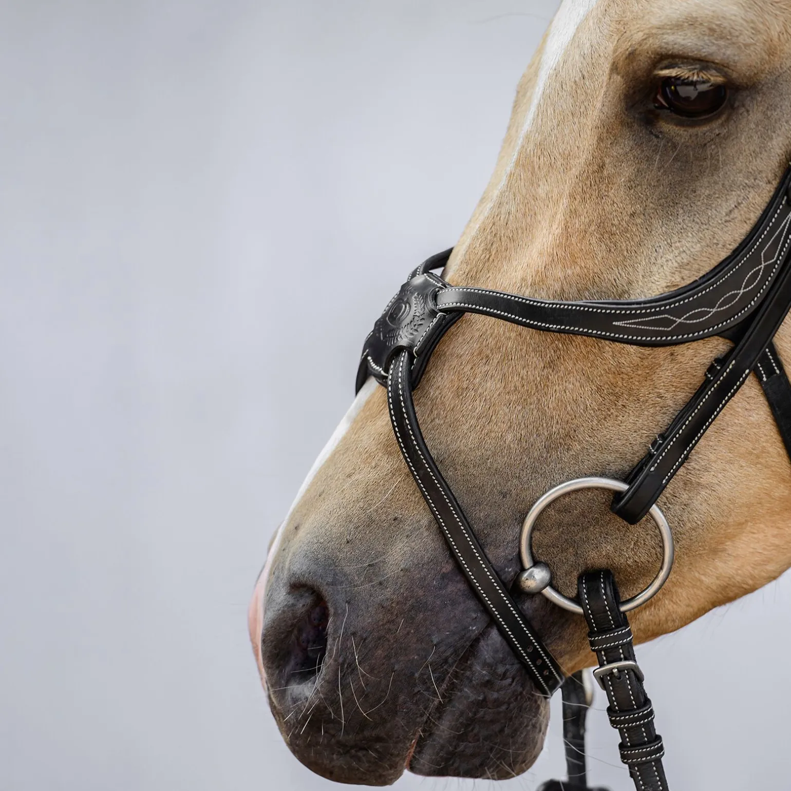 PS of Sweden Athens meksikansk hodelag