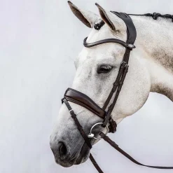 PS of Sweden Flying Change hodelag