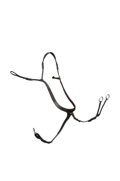 PS of Sweden fortøy Tokyo