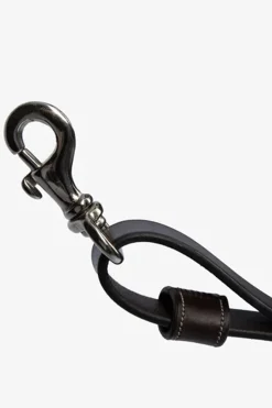 PS of Sweden fortøy Tokyo