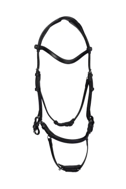 PS of Sweden Hodelag King Edward