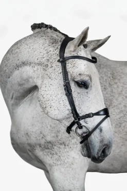 PS of Sweden Hodelag, Mary Lou av Henrik von Eckermann