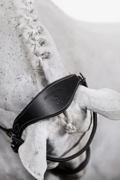 PS of Sweden Ocala hodelag