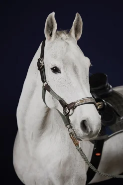 Schockemöhle Sports Acron Style Halter